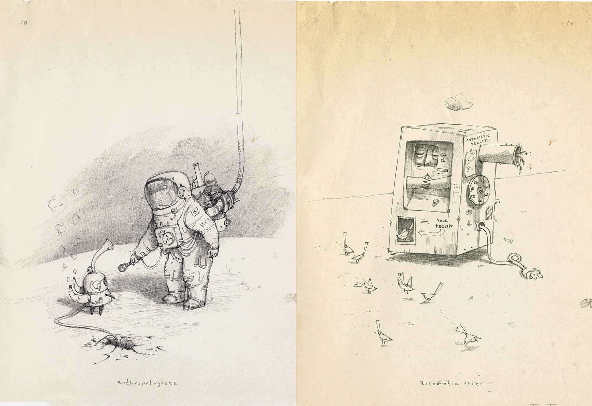 Bird King book — shaun tan
